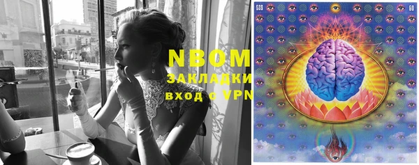 гашик Абинск