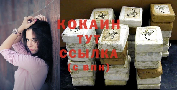 сатива Покачи