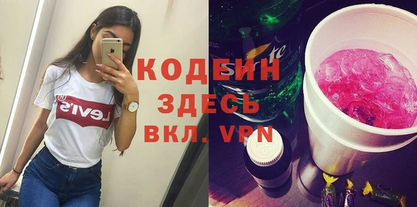 сатива Покачи