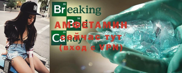 сатива Покачи